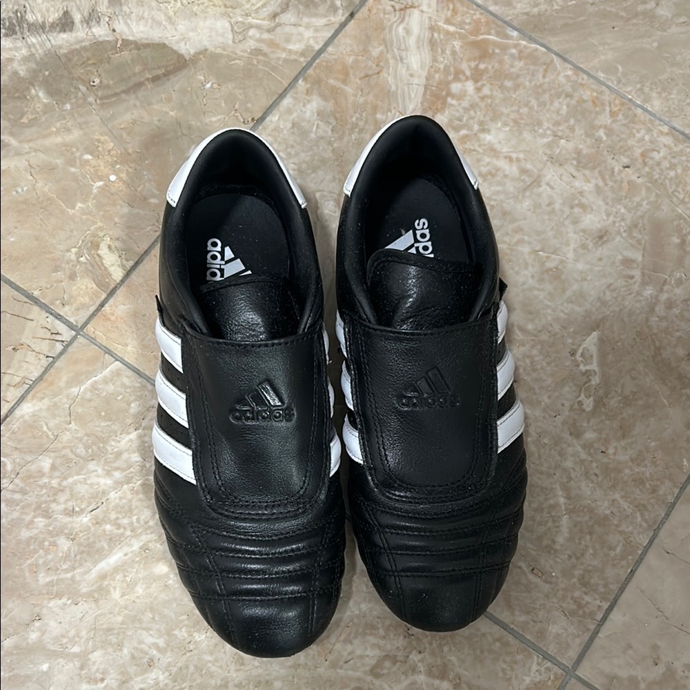 Adidas Taekwondo Shoes